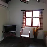 φιλυρα πετρινο *
