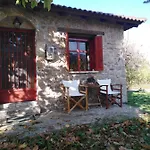 φιλυρα πετρινο