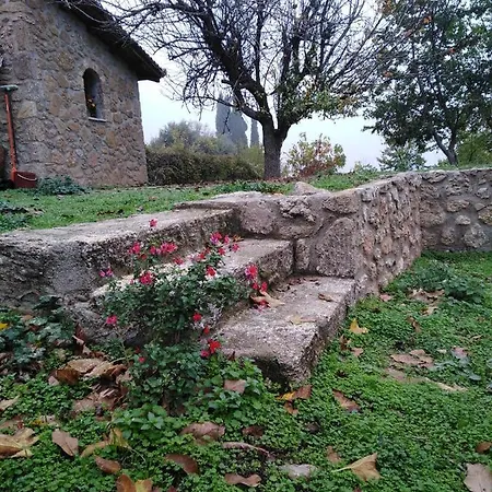 φιλυρα πετρινο Feriehus