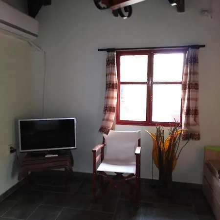 φιλυρα πετρινο *