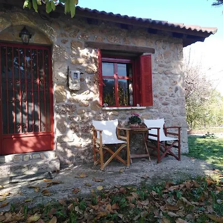 φιλυρα πετρινο