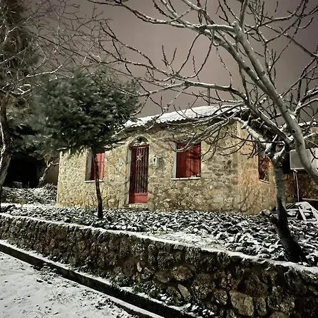 φιλυρα πετρινο Feriehus