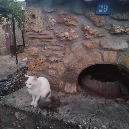 Feriehus φιλυρα πετρινο *