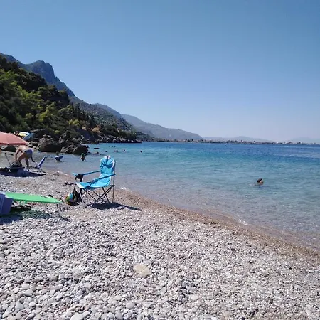φιλυρα πετρινο Kernitsa