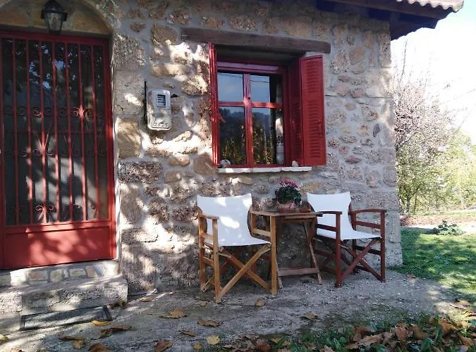 φιλυρα πετρινο