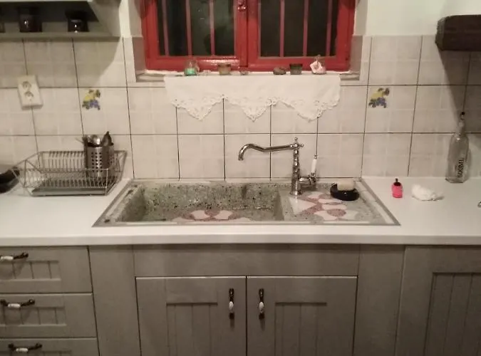 φιλυρα πετρινο