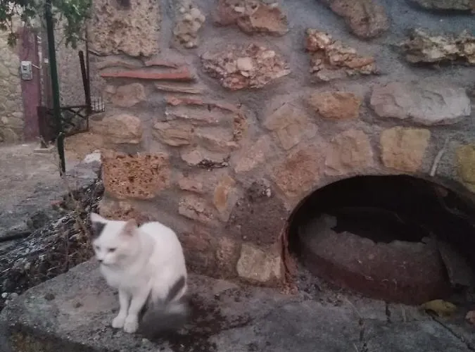 Vakantiehuis φιλυρα πετρινο *