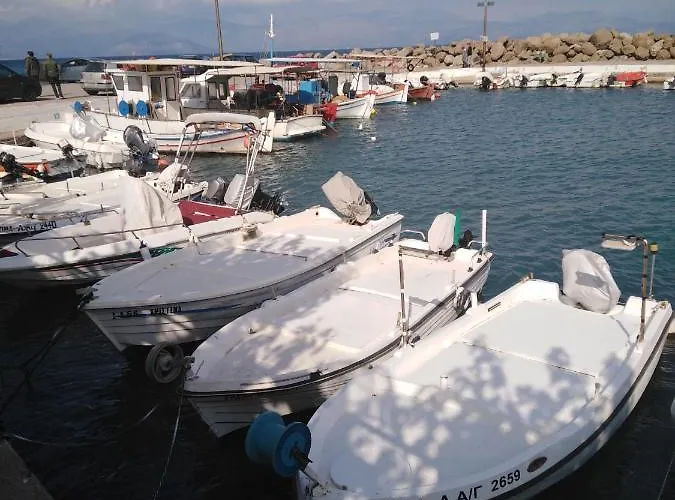 φιλυρα πετρινο * Kernitsa